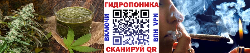 купить наркотики цена  сайты даркнета состав  Canna-Cookies конопля  Ессентуки 