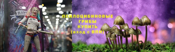 mdpv Зеленодольск