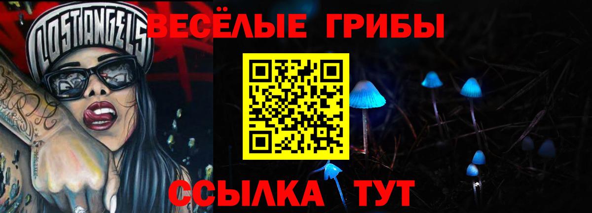 Псилоцибиновые грибы ЛСД Ессентуки